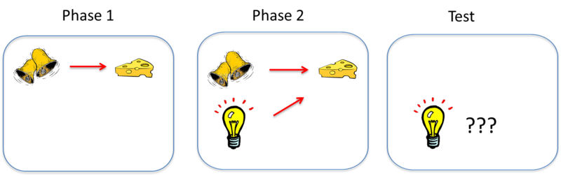 Diagram depicts the blocking of a second stimulus, a light, by the original stimulus, the ringing bell. The process is described in the following section.