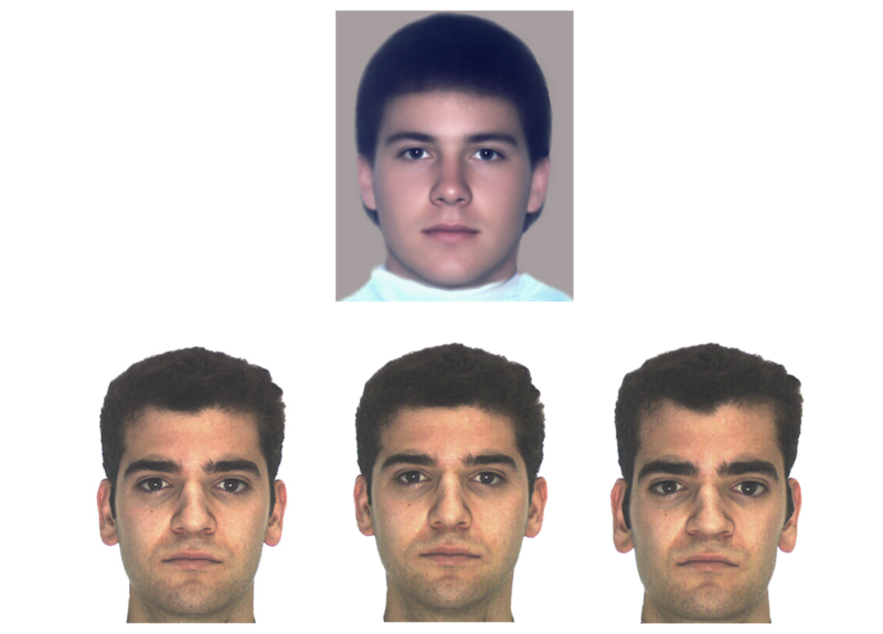This figure shows a male face averaged from 32 individual faces. In addition, there are 3 variations of a different male face: the original, one morphed toward - and one morphed away from average-ness. In all cases, it is clear that average faces are generally more attractive.  
