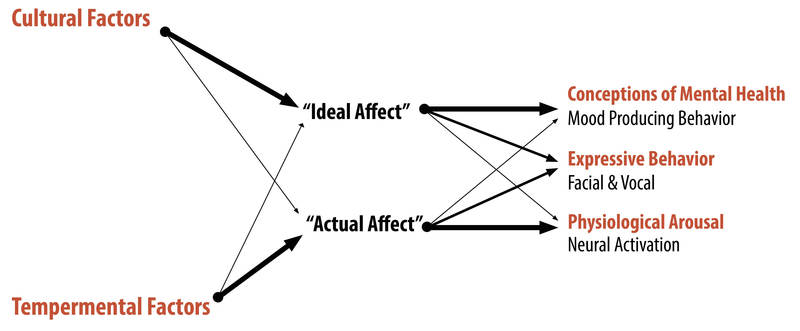 Diagram of the Affect Valuation Theory indicating that cultural factors have a higher influence on a person's ideal affect and temperamental factors have a higher influence on a person's actual affect.