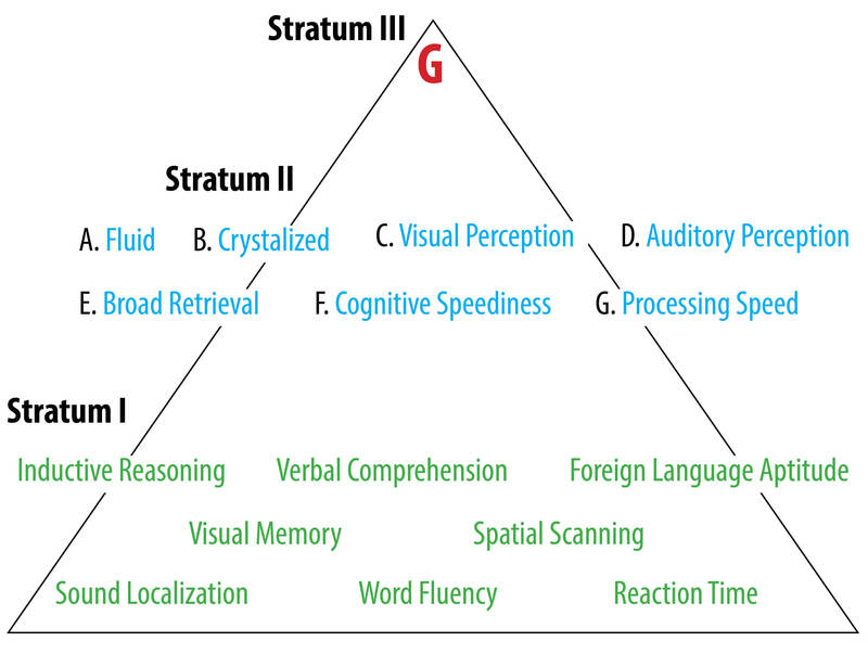 Caroll's Model of Intelligence is displayed as a pyramid. At the top is Stratum III which consists of "G" or general intelligence factor. The middle of the pyramid is Stratum II consisting of Fluid Intelligence, Crystalized Intelligence, Visual Perception, Auditory Perception, Broad Retrieval, Cognitive Speediness, and Processing Speed. Finally, the base of the pyramid is Stratum I, consisting of Inductive Reasoning, Verbal Comprehension, Foreign Language Aptitude, Visual Memory, Spatial Scanning, Sound Localization, Word Fluency, and Reaction Time.