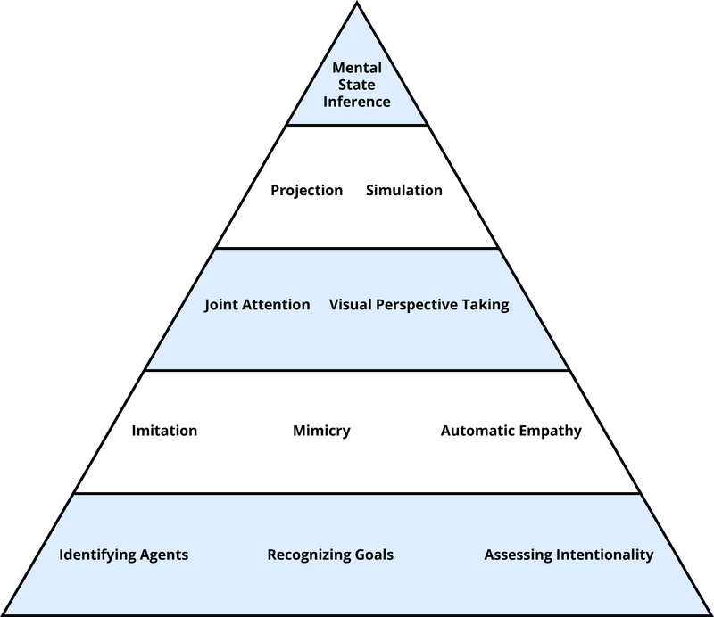 Tools of Theory of Mind displayed as a pyramid with evolutionarily old process lower in the pyramid and evolutionarily recent processes higher in the pyramid. On the bottom level - "Identifying Agents", "Recognizing Goals", "Assessing Intentionality". Level 2 - "Imitation", "Mimicry", "Automatic Empathy". Level 3 - "Joint Attention", "Visual Perspective Taking". Level 4 - "Projection", "Simulation". Top level - "Mental State Inference".