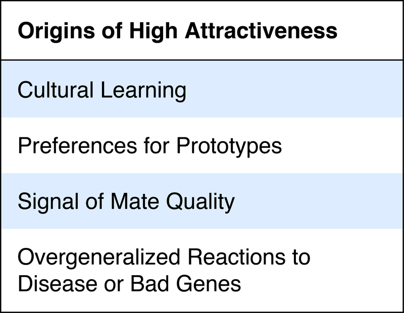 Origins of High Attractiveness: Cultural learning; preferences for prototypes; signal of mate quality; overgeneralized reactions to disease or bad genes.