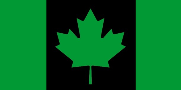 This image is an illustration of the opponent process theory of vision. The image depicts the Canadian flag. Where the familiar Canadian flag is a red maple leaf on a white background bordered by two white columns this image is different. It shows a green maple leaf on a black background bordered by green columns. If a person stares at the green and black flag and then diverts their eyes to a blank surface such as a wall an "after image" of the Canadian flag will appear to hover there, only it will appear in red and white! Exactly the opposite colors the person was just staring at. 