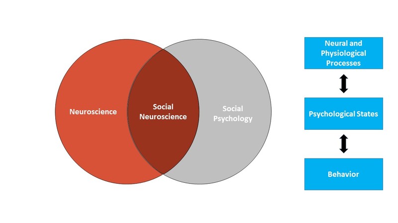 Figure 1 is composed of two parts. The first is a Venn diagram showing social neuroscience as a space of overlap between neuroscience and social psychology. The second part of the figure shows the bi-directional influence between neural and physiological processes and psychological states and between psychological states and behavior.