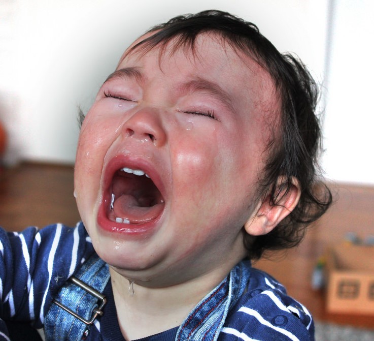 A red-faced toddler screams and cries with tears streaming down her face.