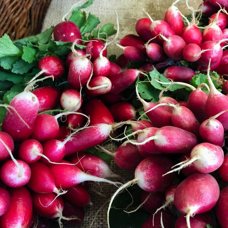 A bunch of red radishes