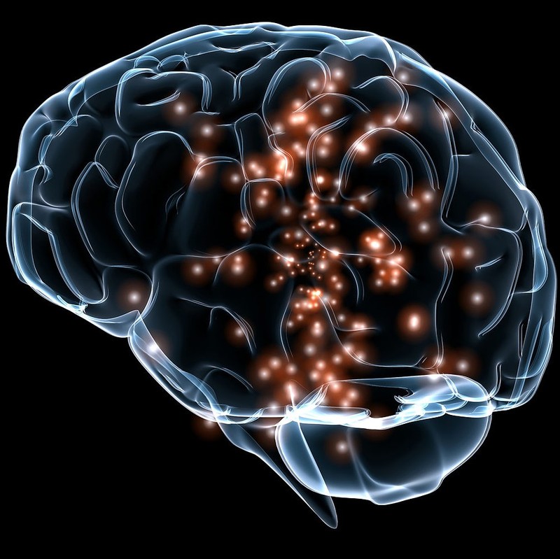 An illustration of neuronal activity in the brain.