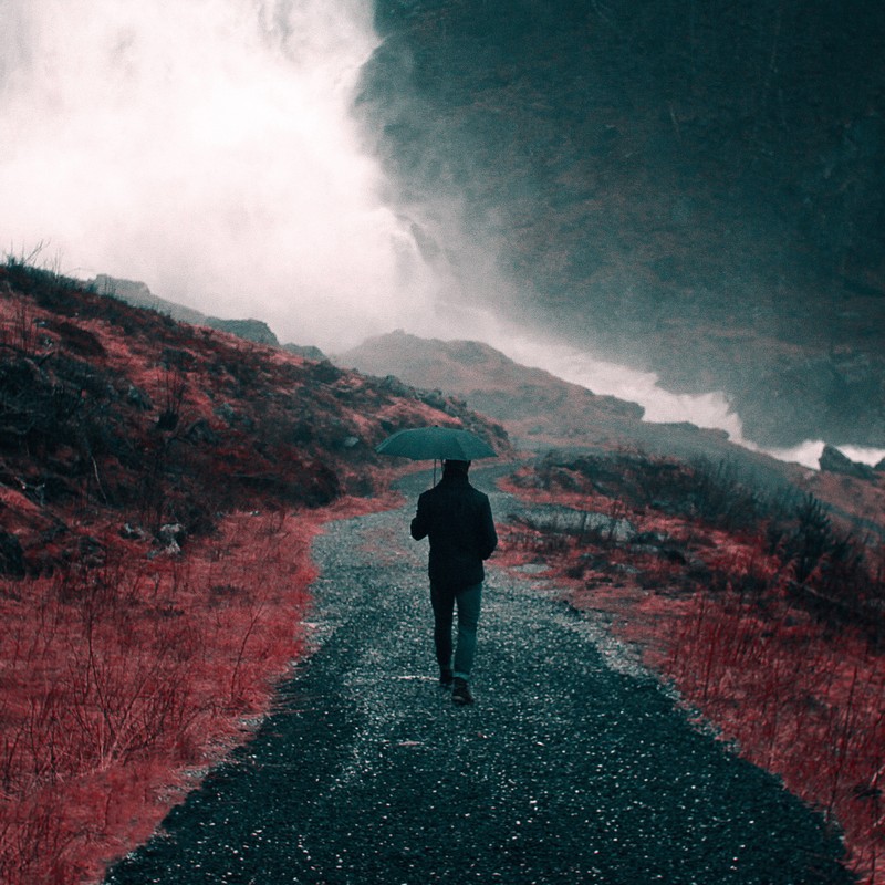 A man with an umbrella walks down a path into the distance.