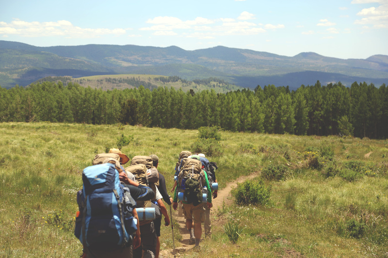 A group of hikers walk in a line on a trail through a meadow with forest and mountains in the distance.