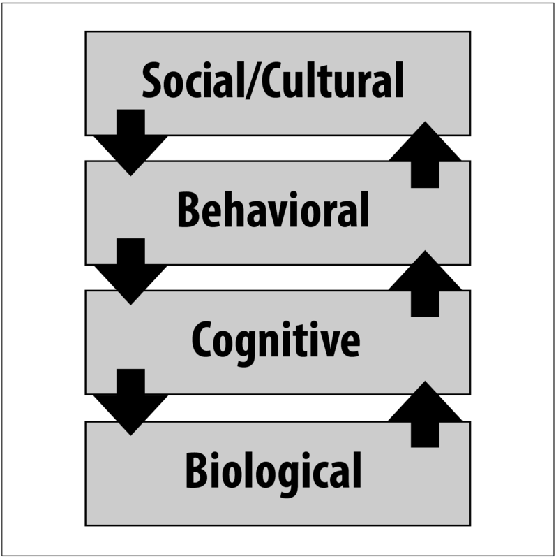 Four levels of analysis - biological, cognitive, behavioral, social/cultural.