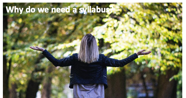 An image of a woman with her back to us and hands outstretched to the side. An image caption reads: Why do we need a syllabus?" 