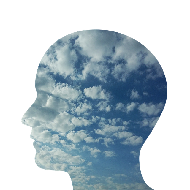 An outline of a head with the sky and clouds inside