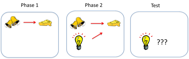 Classical conditioning and instrumental conditioning theory are examples of ________.