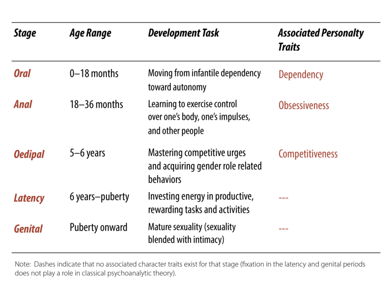 The psycho-sexual stage model. Between birth and 18 months is the oral stage, during which an infant moves from dependency toward increasing autonomy. From 18-36 months is the anal stage, during which the child acquires social and self control. From ages 5-6 is the oedipal stage, during which the child develops gender identity. From 6 years to puberty is the latency stage, during which the child invests in rewarding tasks and activities. From puberty onward is the genital stage with mature relationships including sex and intimacy.