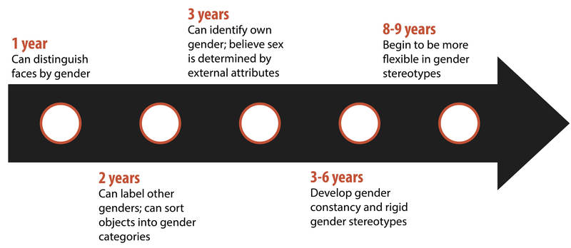 A timeline summarizing the information given in the preceding paragraph about the abilities of children to classify gender at different ages.