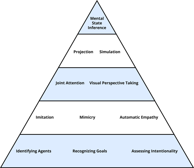 Theory of mind mechanism