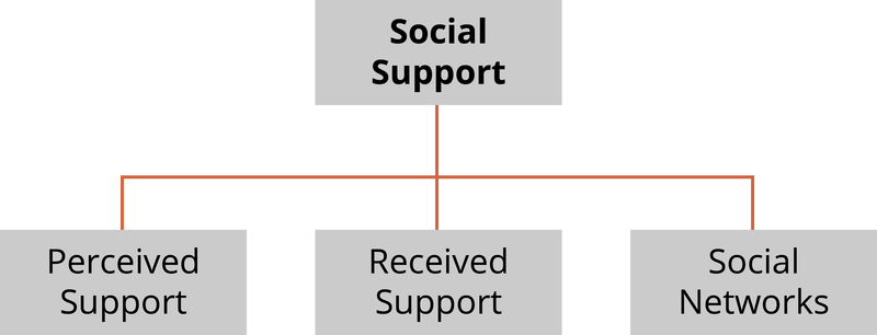 Diagram showing the three components of social support - perceived support, received support, and social networks.