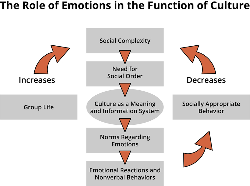 The Different Types of Emotions and How They Impact Human Behavior -  Business 2 Community