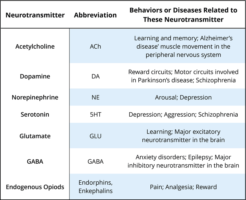 Drugs And Neurotransmitters Chart