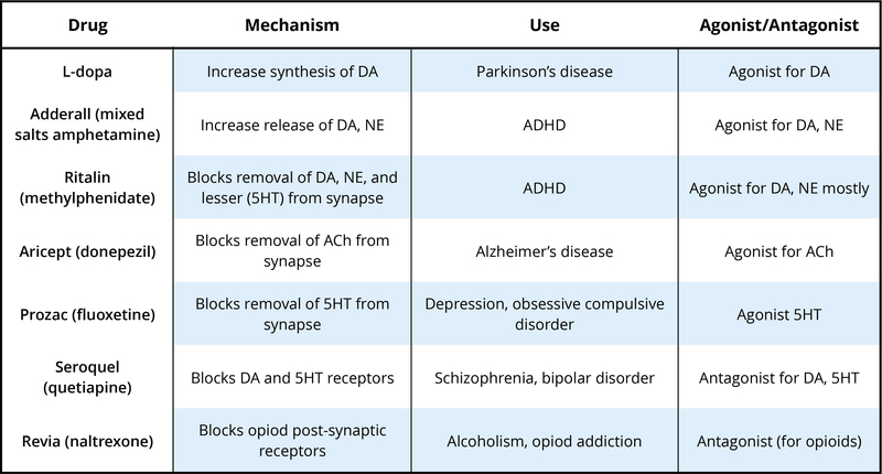 Neurotransmitters And Drugs Chart