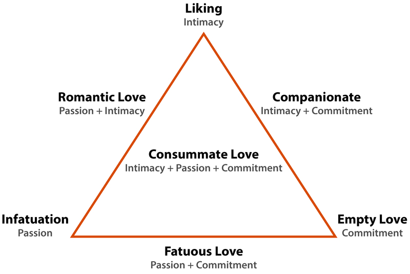 El modelo de la Teoría Triangular del Amor muestra 6 tipos de amor espaciados uniformemente alrededor del exterior de un triángulo, y un tipo de amor en el centro del triángulo. Los tipos de amor fuera del triángulo incluyen: Enamoramiento (Pasión), Amor Romántico (Pasión + Intimidad), Gusto (Intimidad), Compañerismo (Intimidad + Compromiso), Amor Vacío (Compromiso) y Amor Fatuoso (Pasión + Compromiso). En el centro se encuentra el Amor Consumado (Intimidad + Pasión + Compromiso).