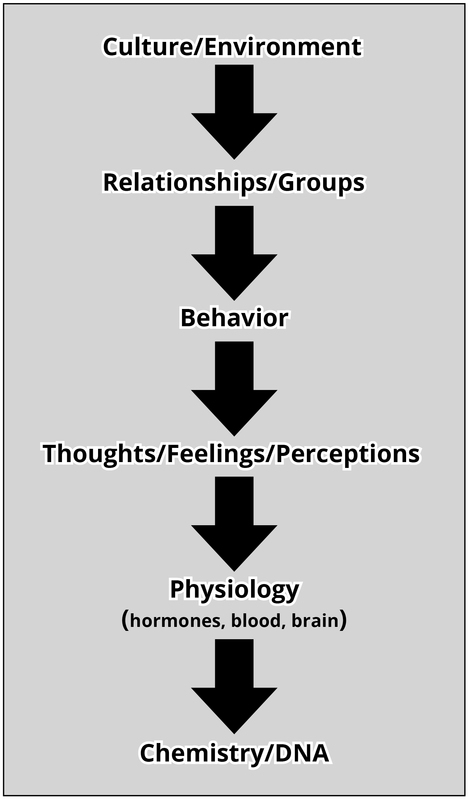 Niveles de análisis en psicología: Cultural/Medio Ambiente; Relaciones/Grupos; Comportamiento; Pensamientos/Sentimientos/Percepciones; Fisiología; Química/ADN.