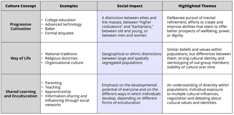 This table outlines 3 ways to view culture: as progressive cultivation, as a way of life, and as shared learning. Examples are given for each. These concepts are described in detail in the main text.