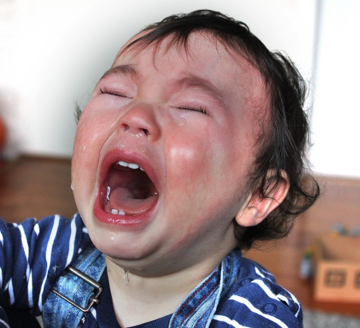 Una pequeña de cara roja grita y llora con lágrimas que corren por su rostro.