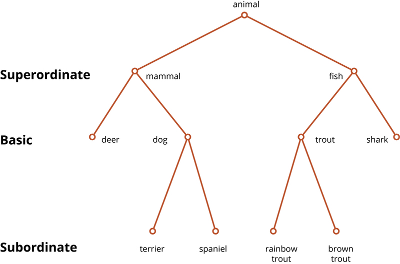 This figure shows examples of super-ordinate, basic, and subordinate categories. For example, "mammals" is a super-ordinate category in which "dog" is a basic member. Below that, specific types of dogs such as "spaniels" are subordinate categories. 