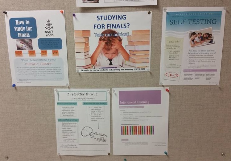Posters about effective study habits pinned to a bulletin board.