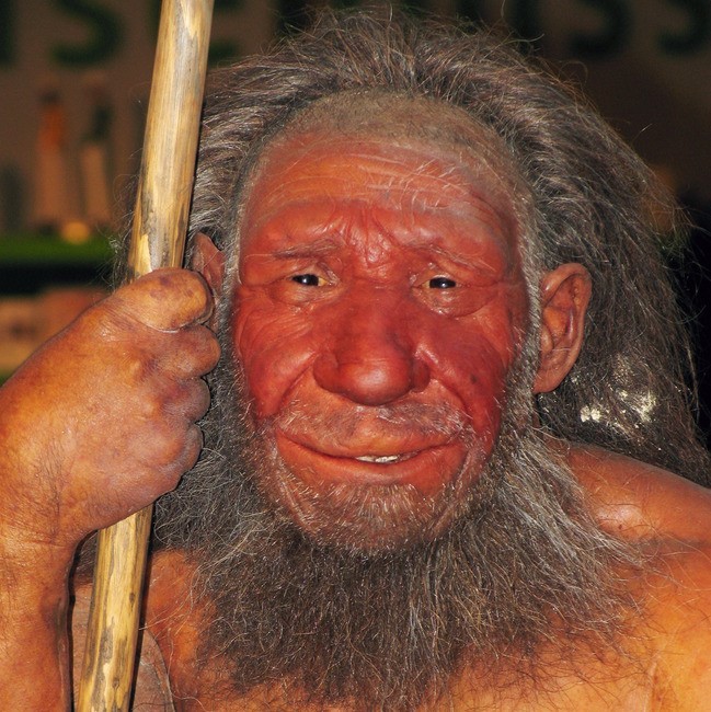 Un modelo de un neandertal