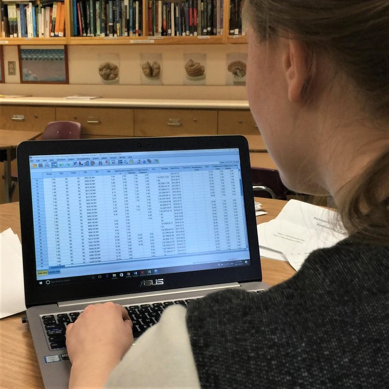 A woman analyzing data on a computer. Researchers use statistical software to store, analyze and share data.