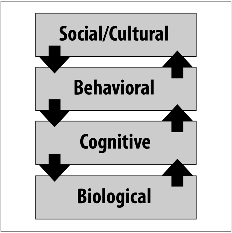 Cuatro niveles de análisis: biológico, cognitivo, conductual, social/cultural.