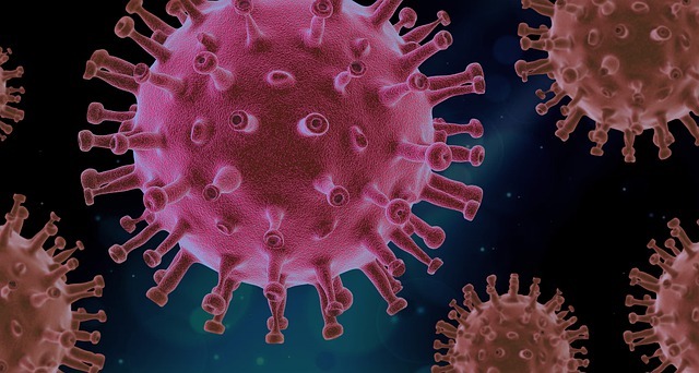 An image of the Covid-19 virus